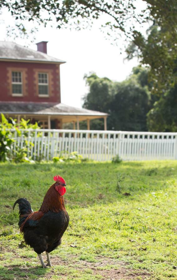 Bed and Breakfast The Barracks, Tocal Paterson Экстерьер фото